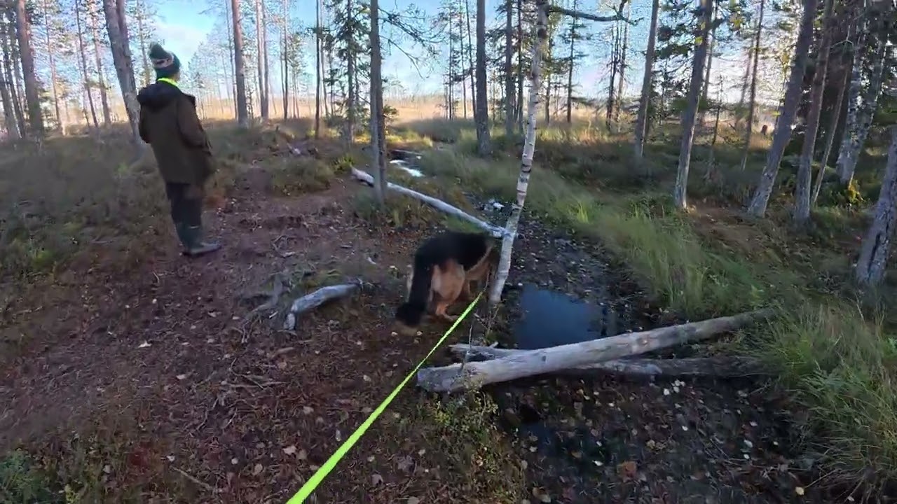 Camping with RV in north Sweden/Norway