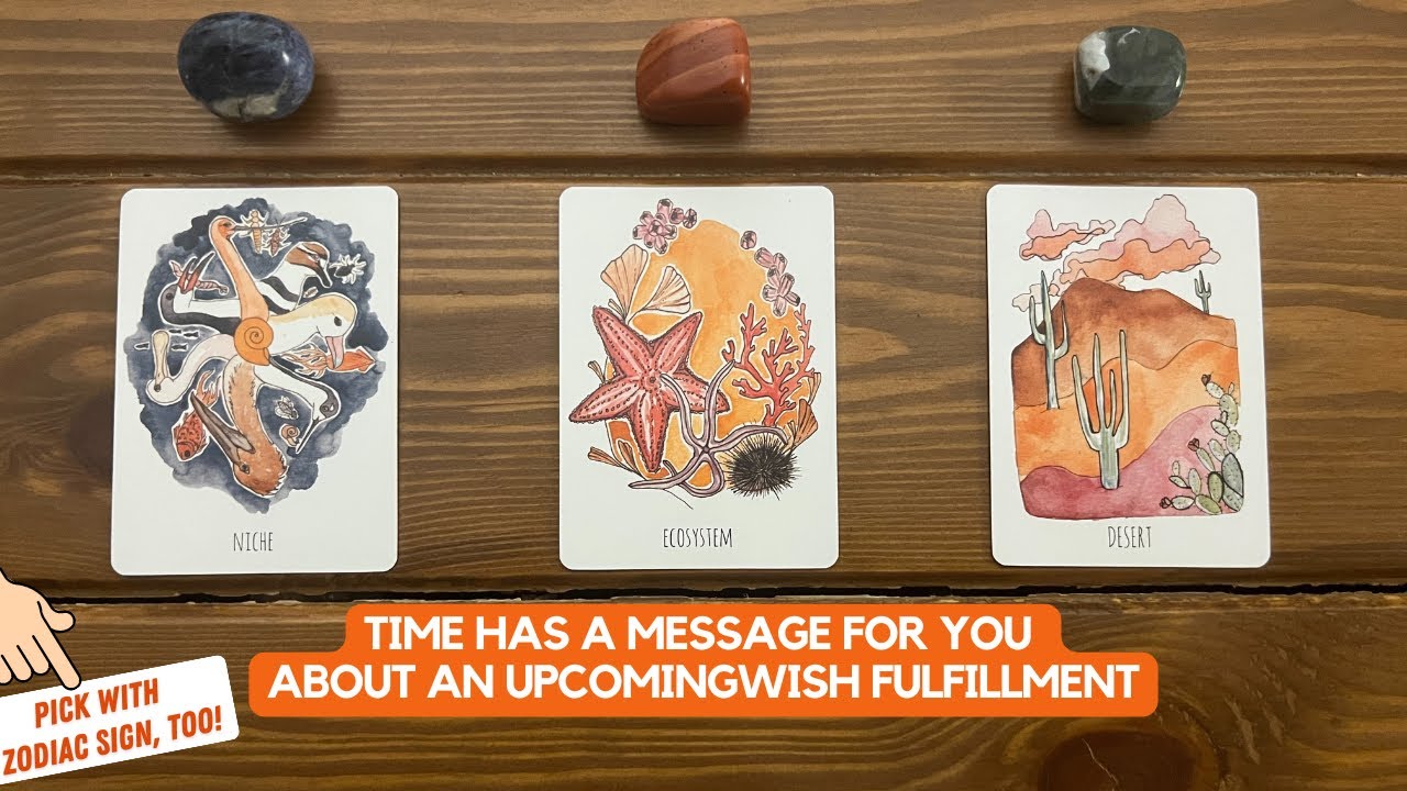 Time Has a Message For You About An Upcoming Wish Fulfillment | Timeless Reading