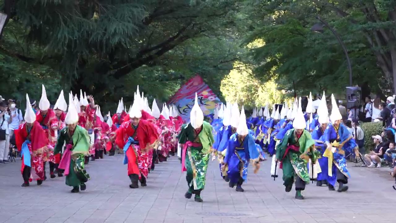[4K]なるたか｜RGB（よさこい祭りin光が丘公園 2025 day3/けやき並木パレード 2）