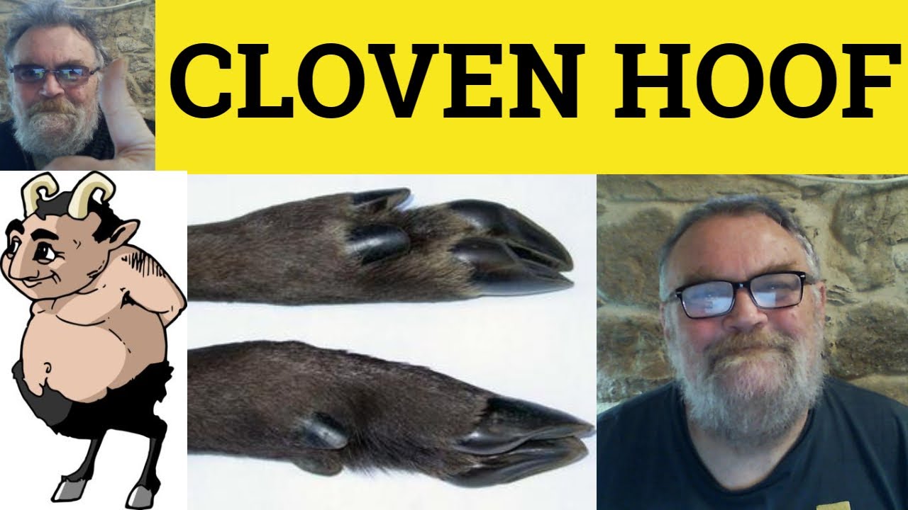🔵 Cloven Hoof Meaning - Cloven-Hoofed Examples Cloven Foot Defined - Sign of the Devil - Cloven Hoof