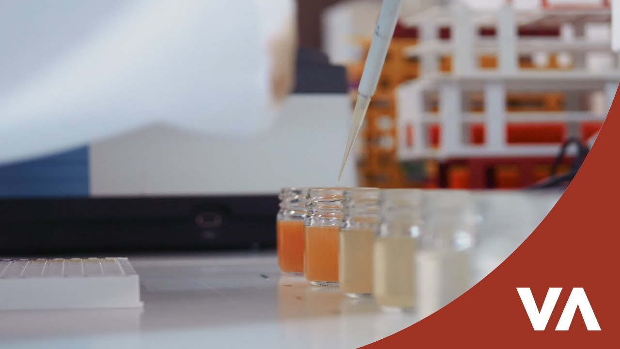 Extraction verte des résidus de tailles pour récupérer des composés bioactifs - AgriWasteValue