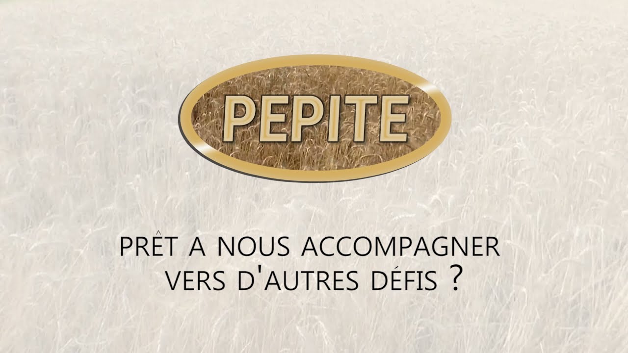 Le projet PEPITE: le bloc de paille pour l'isolation thermique