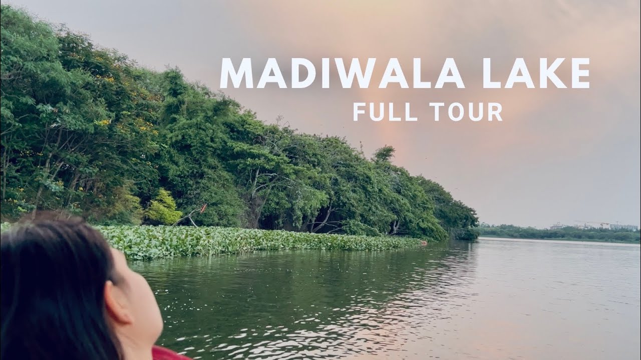 Exploring Madiwala lake// #madiwala #india #bengaluru #karnataka #bangalore #bangalorenews #lake