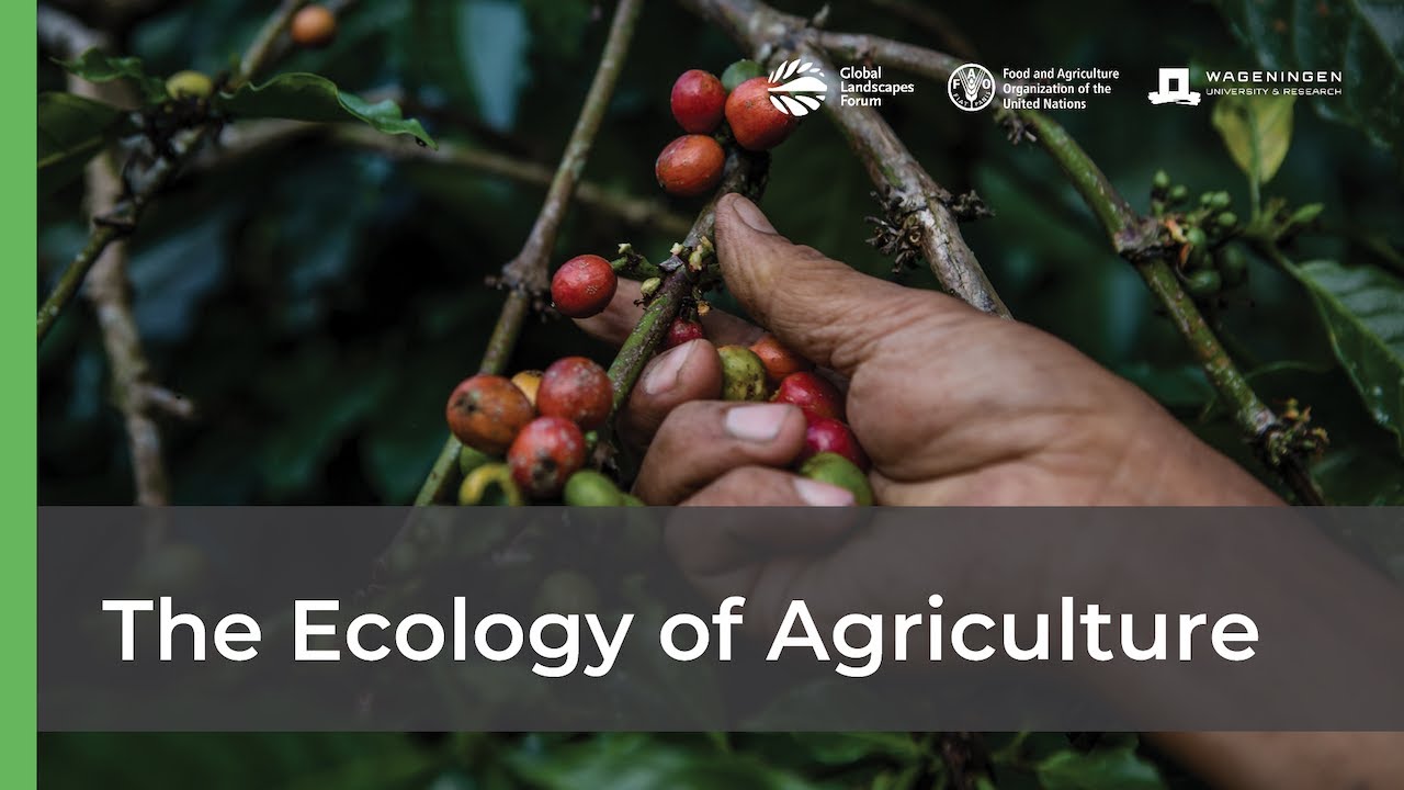 The Ecology of Agriculture 🌳🚜