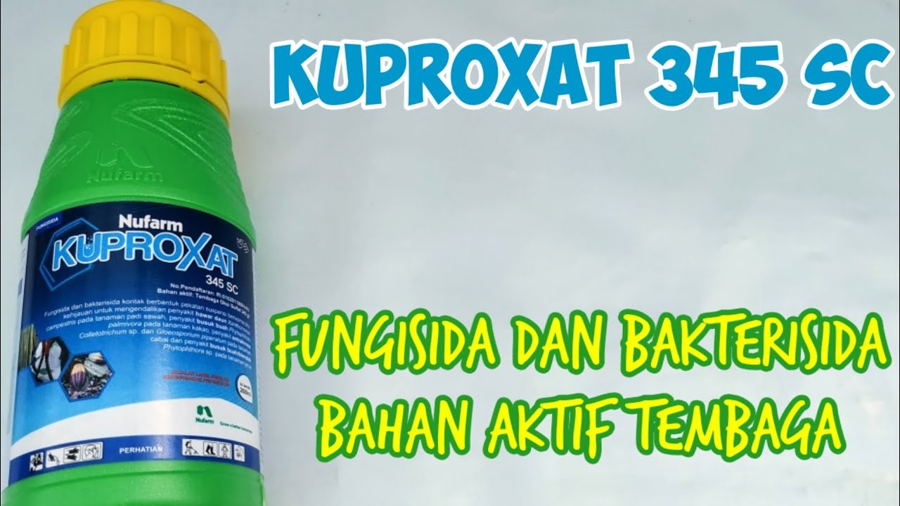 Kuproxat dari Nufarm | Pestisida Bahan Aktif Tembaga Dwifungsi Sebagai Fungisida dan Bakterisida
