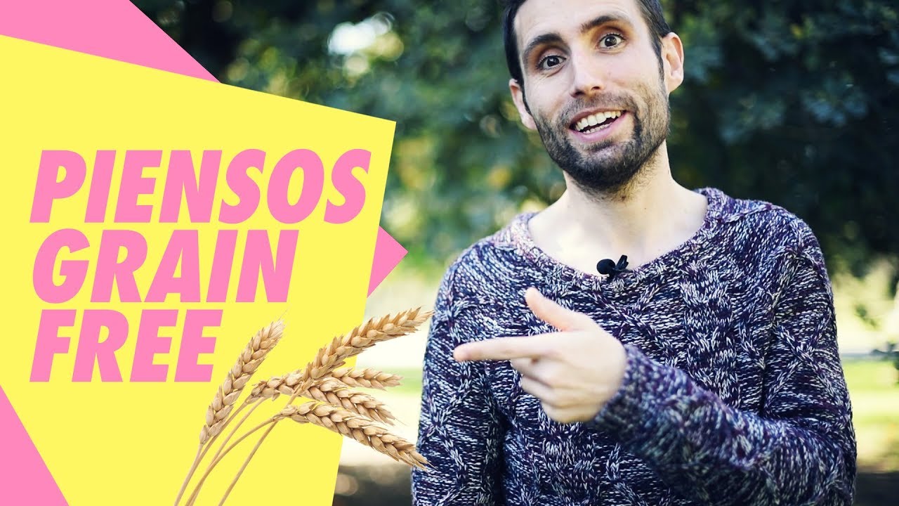 Piensos “grain free”. ¿Son más sanos para tu mascota?
