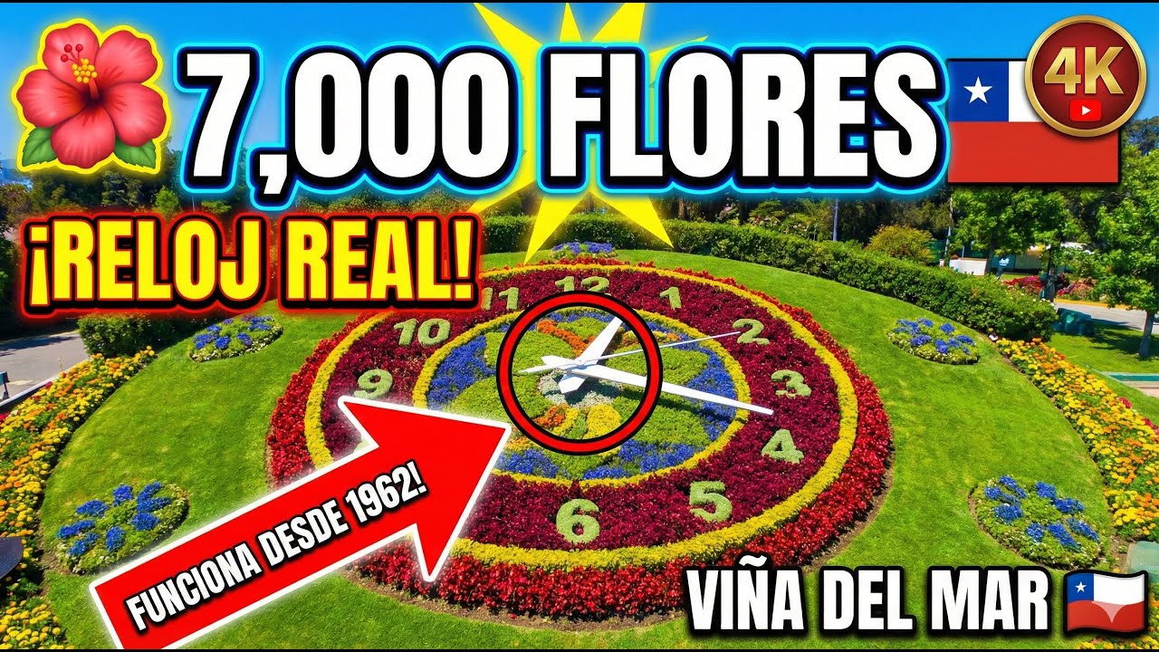 🌺 Reloj de Flores Vi&ntilde;a del Mar | Flower Clock Chile | Цветочные Часы Чили 🇨🇱