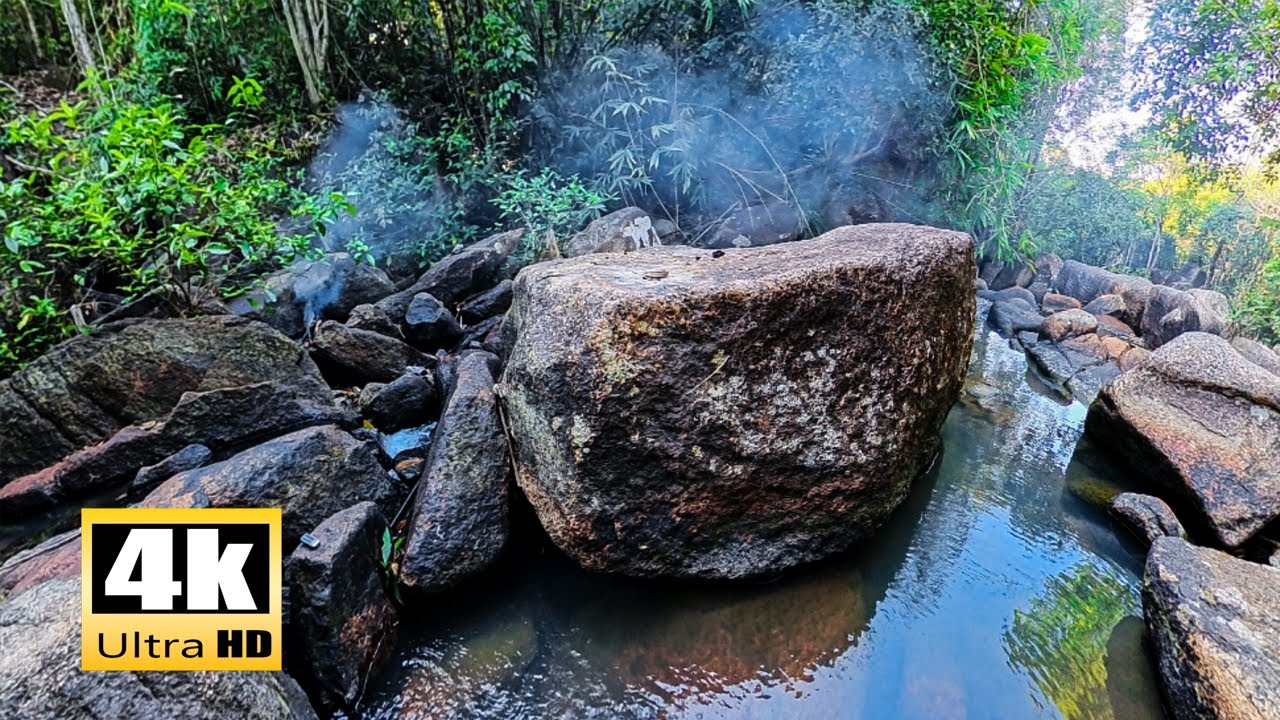 1 HOUR 4K Deep Forest Stream - Deep Relaxation - Healing Water Sounds for Study & Long Sleep