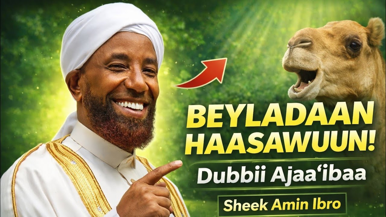 Sheek amin ibro, wanni 5 kun mallattoo qiyaamaa afaan jirti ! March 2026
