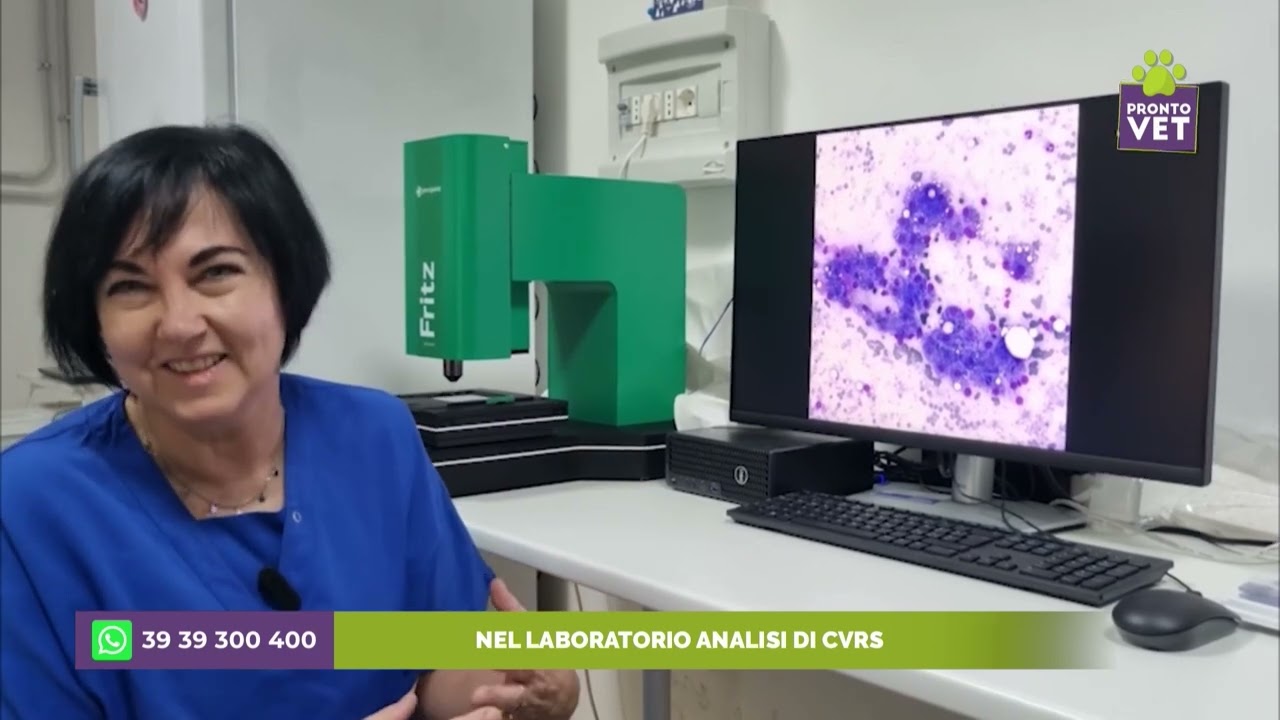 Pronto Vet - Dentro al CVRS: il laboratorio analisi