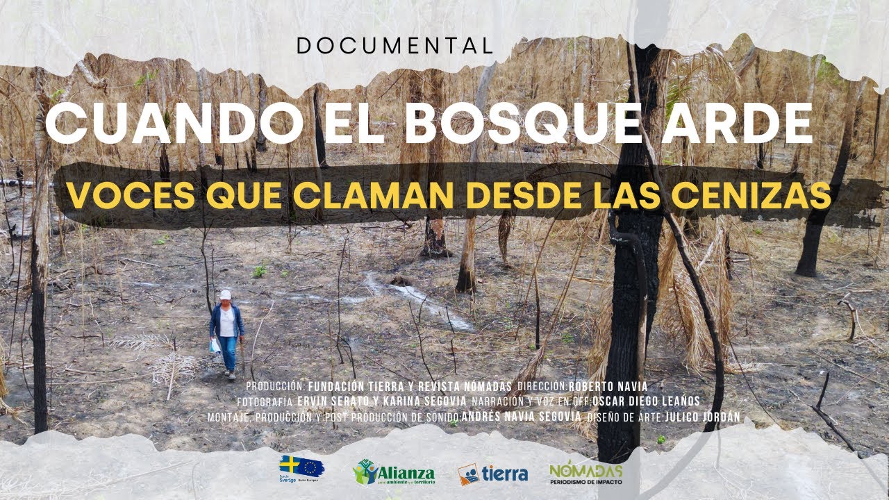 Cuando el bosque arde: Voces que claman desde las cenizas