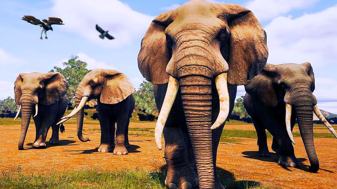 Em Busca da Manada de Elefantes! Grande Filhote! Leões vs Elefantes | Animalia Survival | (PT/BR)