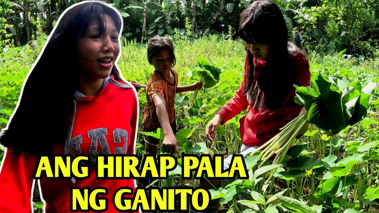 pt.16 |NANGUHA KAMI NG IULAM SA KAGUBATAN