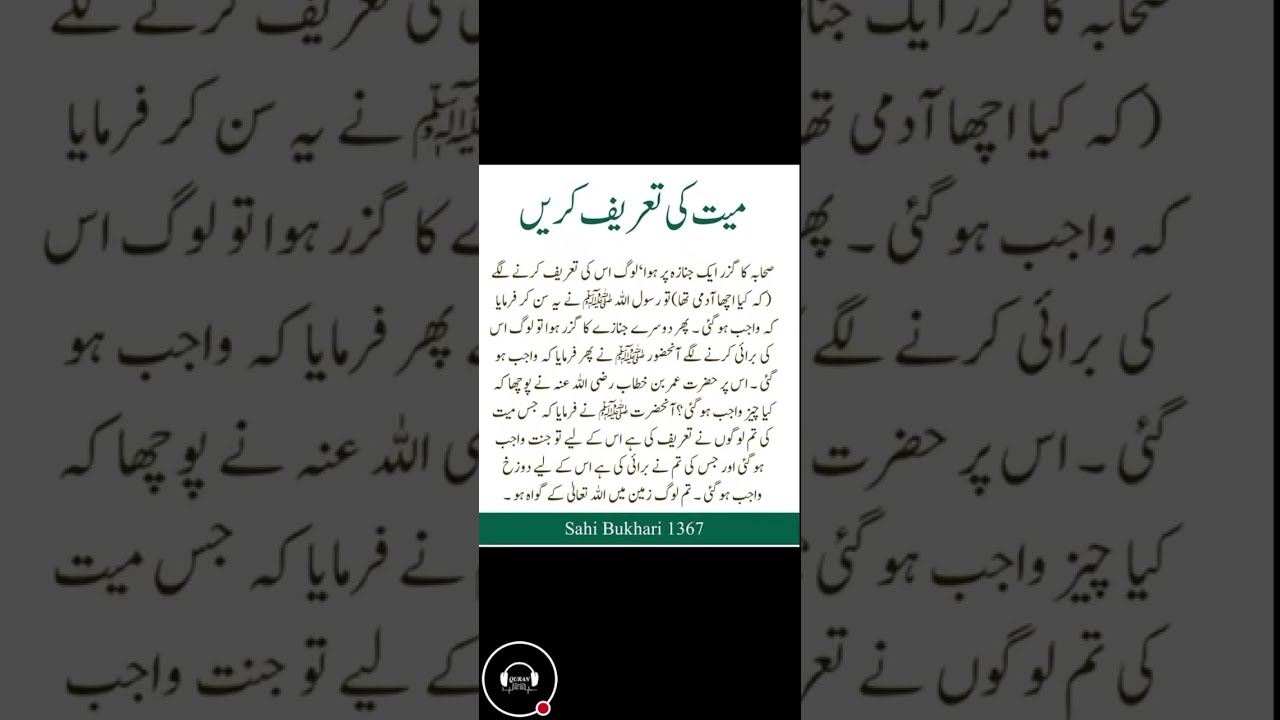 The Quran Voice | live videos