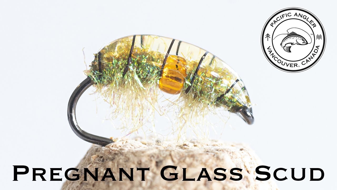 How to Tie the Pregnant Glass Scud Fly Pattern - Pacific Angler Fly Tying