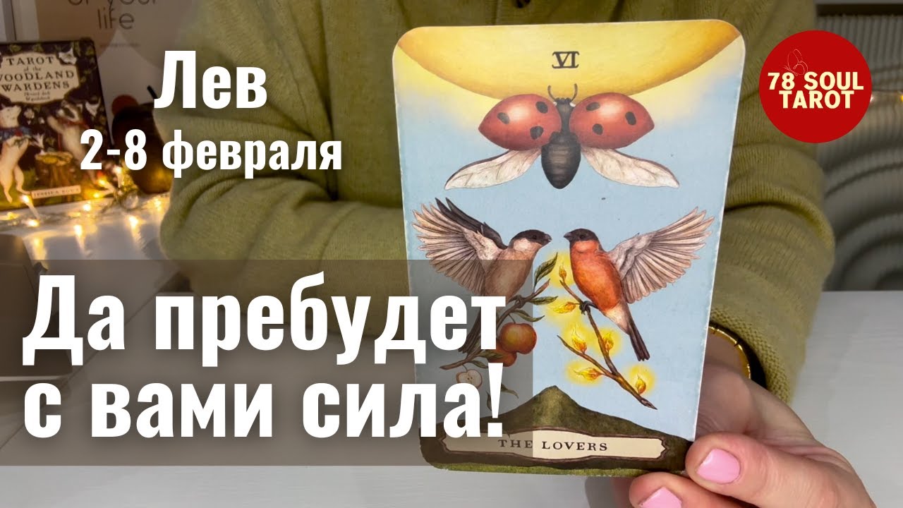 ЛЕВ : И снова.. Да пребудет с вами сила! | Неделя 2-8 февраля 2026 таро прогноз