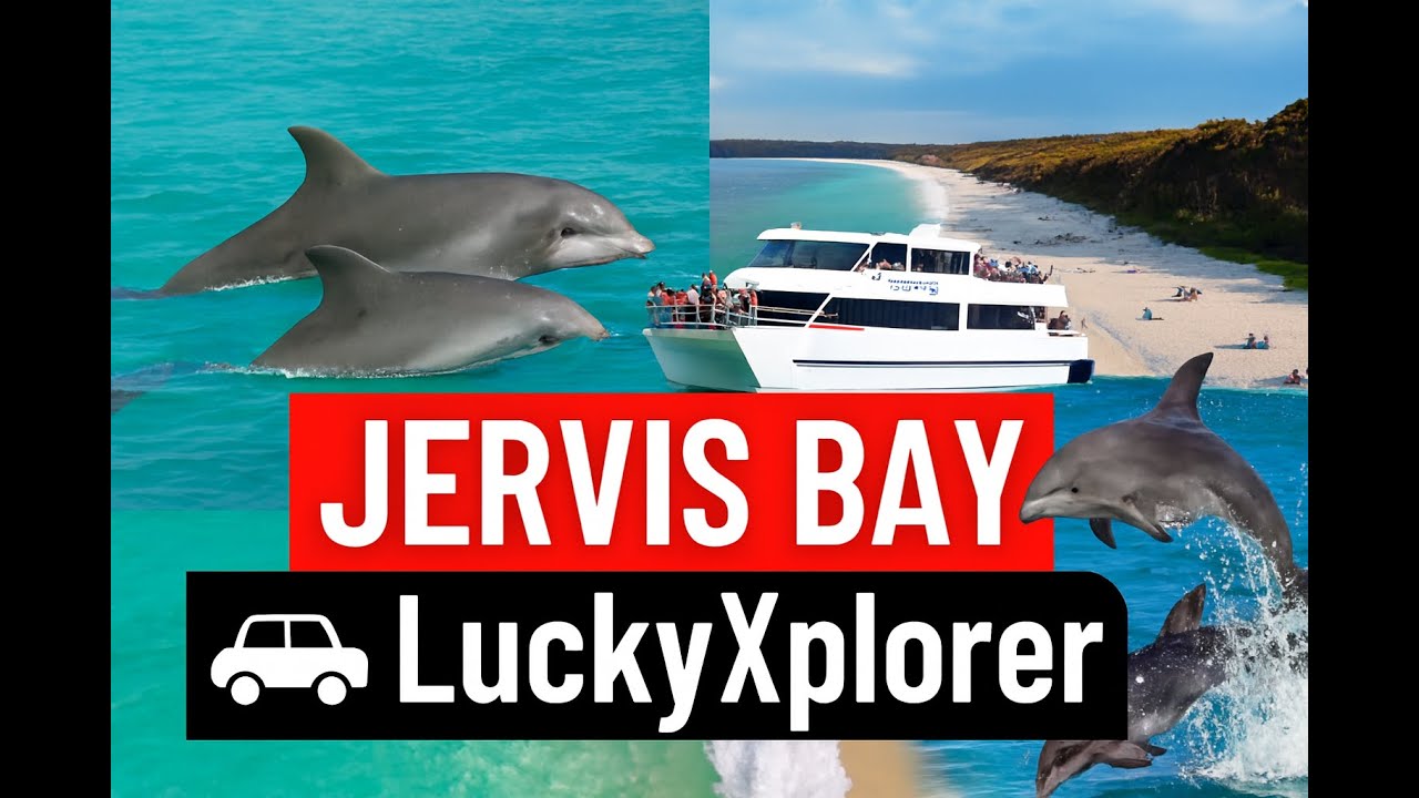 Jervis Bay | NSW| Australia 🌏| #luckyxplorer #dolphin #jervisbay #bay #jervis #australiadiaries 
