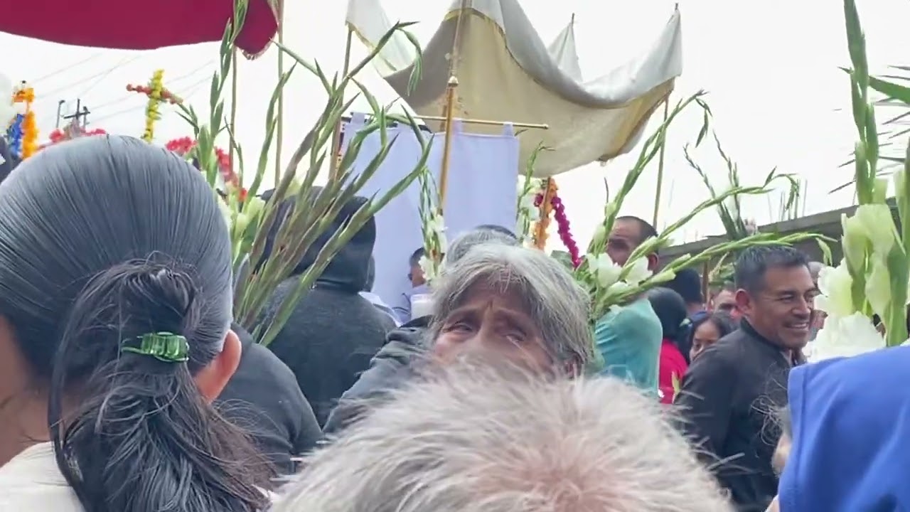 Procesión de Santo patron San Juan Bautista en San Juan 🍍 de 2024