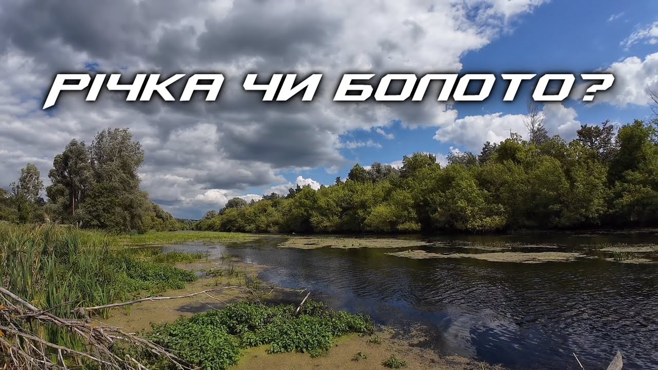 Тотальні зарослі! Розвідка по ХИЖАКУ!