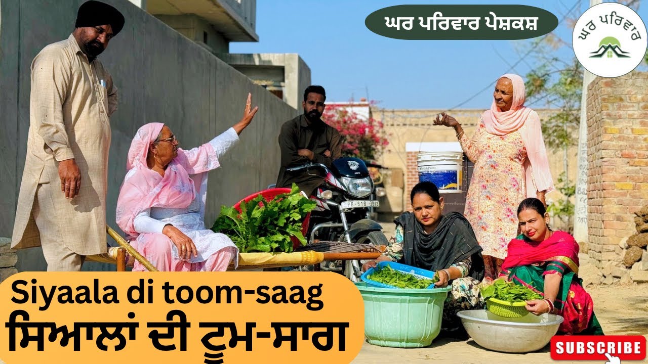 ਸਿਆਲਾ ਦੀ ਟੂਮ-ਸਾਗ |siyaala di toom-saag|new punjabi movies2024|punjabishortvideos@GHARPARIVARMANSA