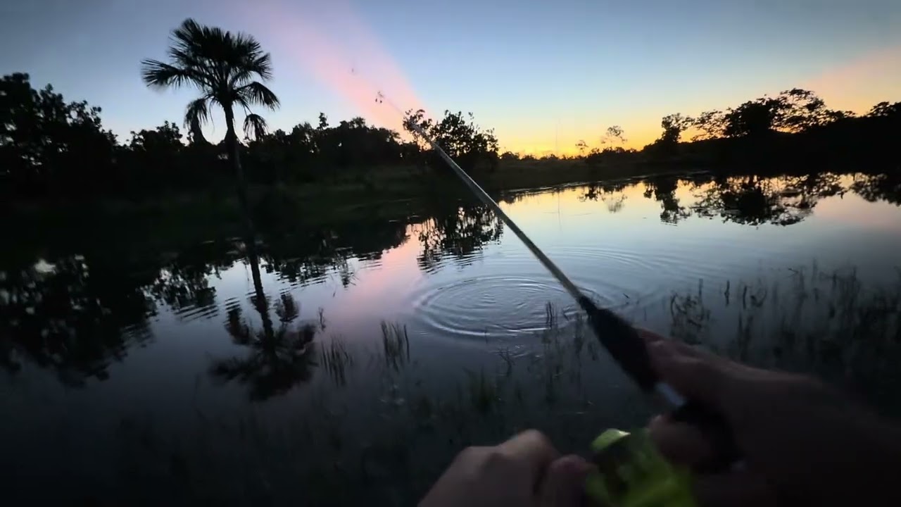 3 dias de pescaria de traíra rendeu muito peixe ,jacaré e até paturi ,quase me lasquei…