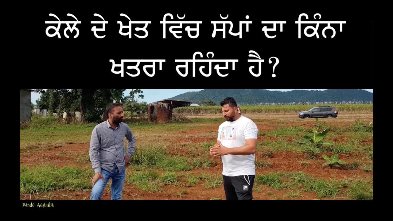Pendu Australia | Episode 63 | Punjabi Travel Show | Talk about Australian Snakes |