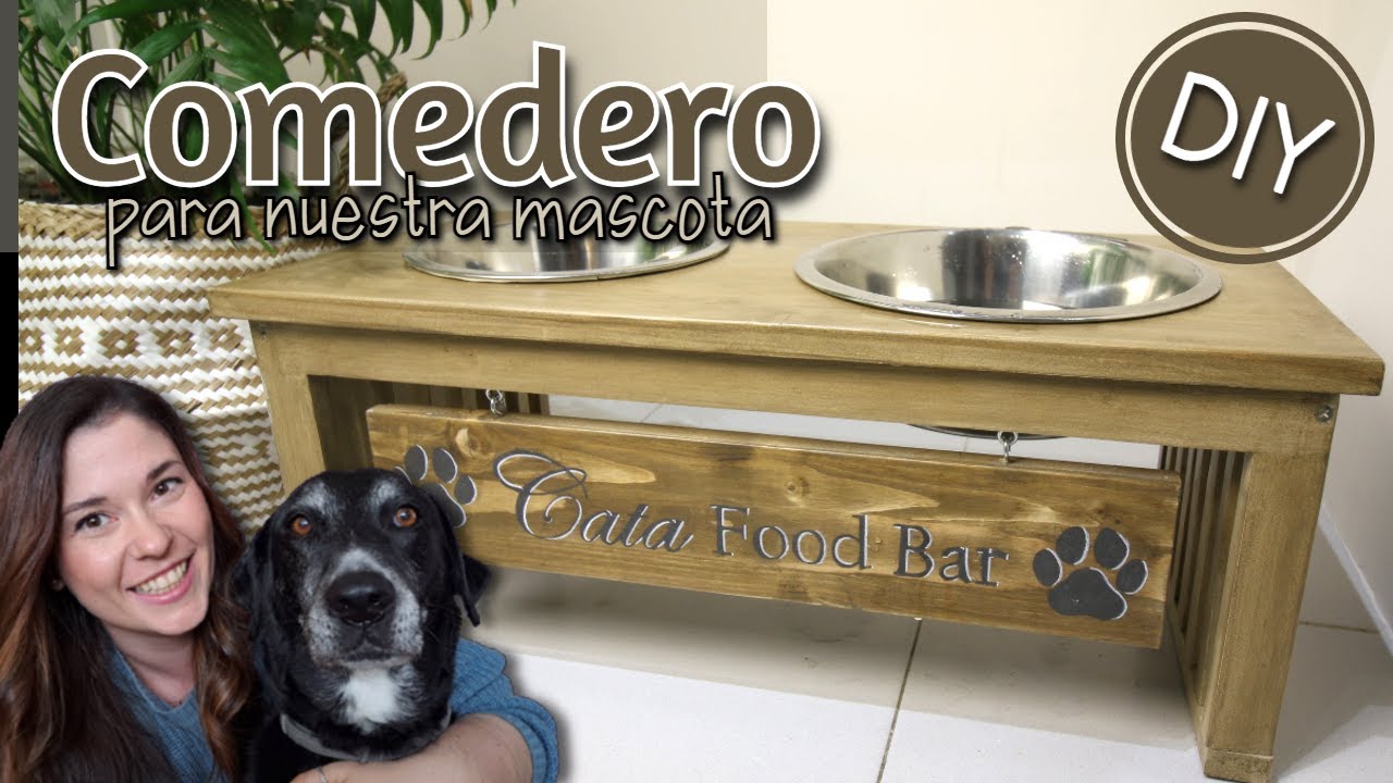 Hacer un COMEDERO para PERRO 🐶🐈 DIY ✨- Paso a paso 👣