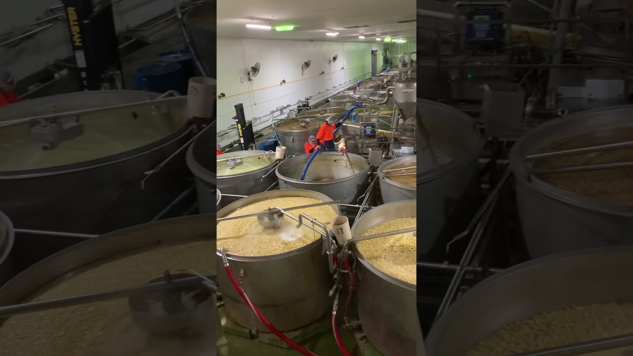 Inside the ginger factory