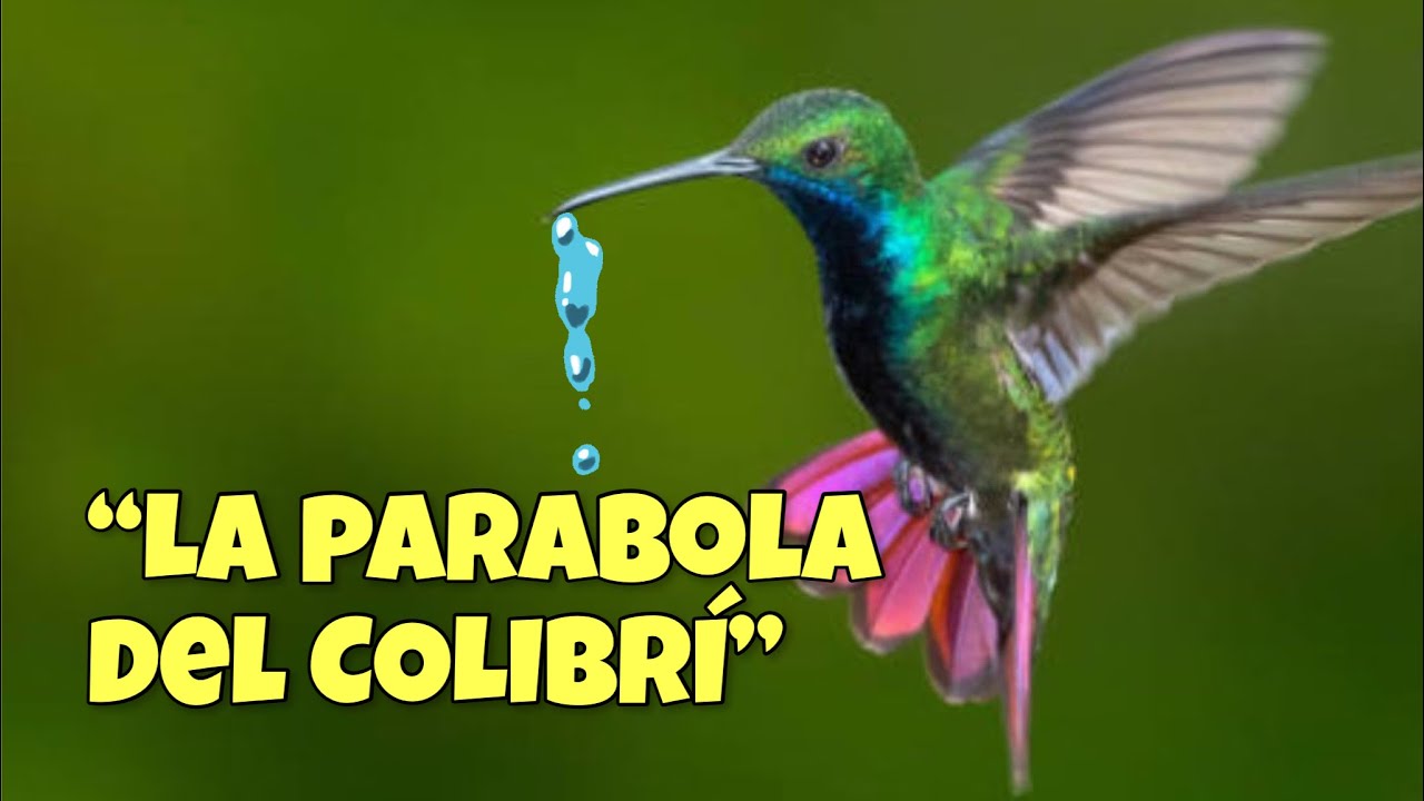 La Parábola Del Colibrí | Reflexiones con Porfirio Vargas