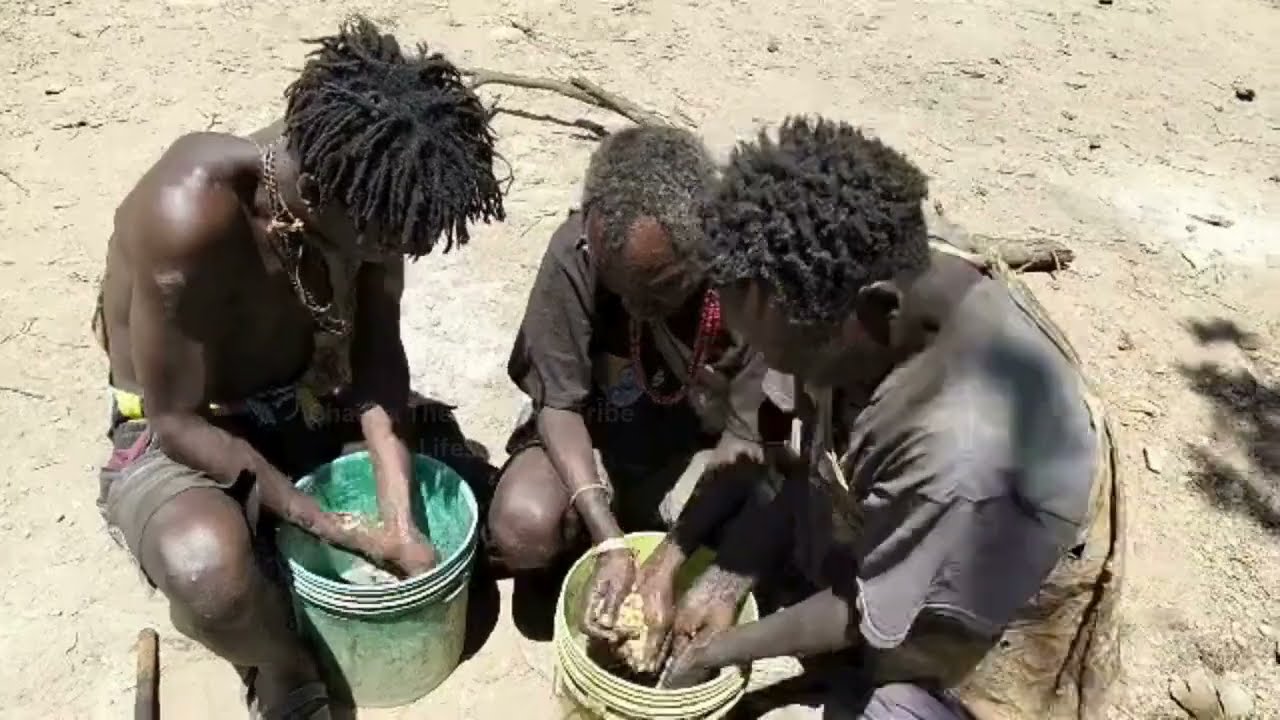 🔥 Hadzabe Cooking Traditional Food in the Wild 🌿🔥 | Authentic Hunter-Gatherer Life