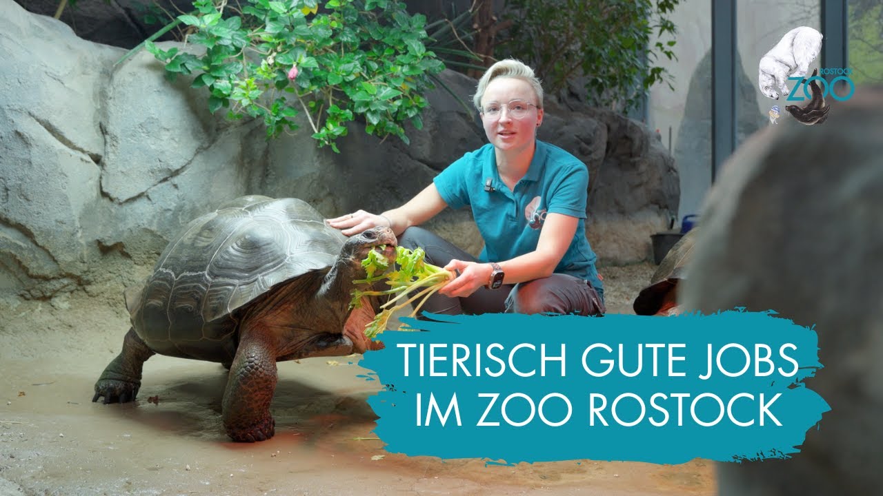 Tierisch gute Jobs im Zoo Rostock