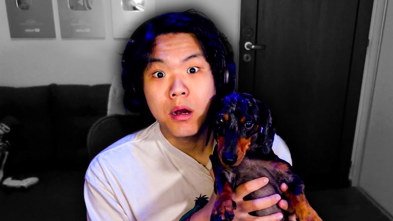 ME ROBÉ UN PERRO🐶| PASA EN STREAM #9