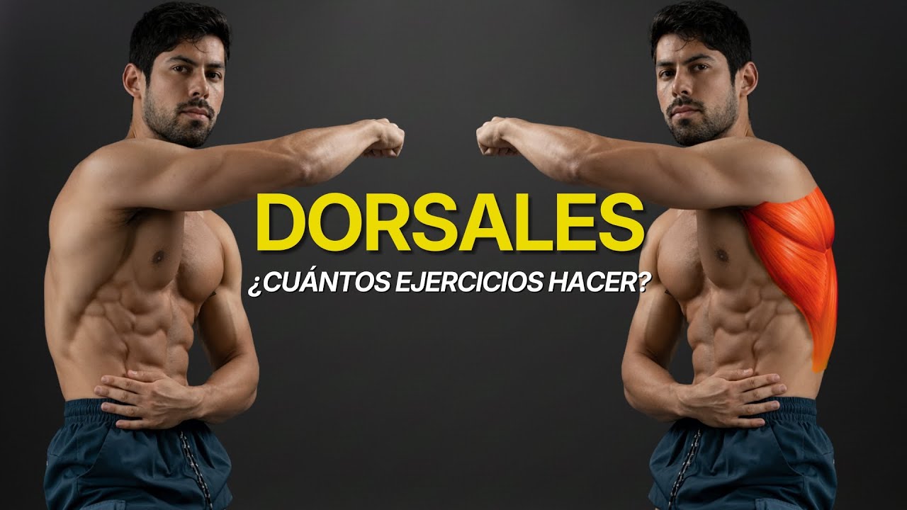 ¿Cuántos Ejercicios Necesitan tus Dorsales para CRECER?