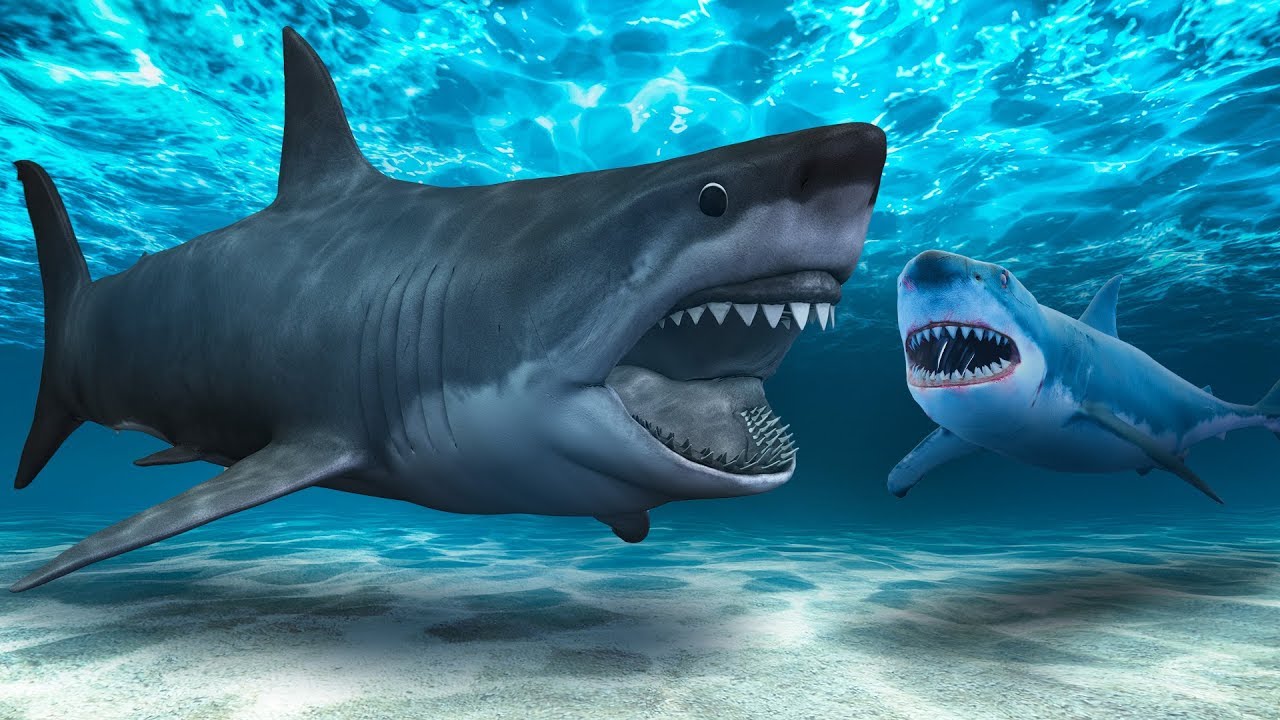 Poderia Existir um Tubarão Mais Assustador Que o Megalodonte