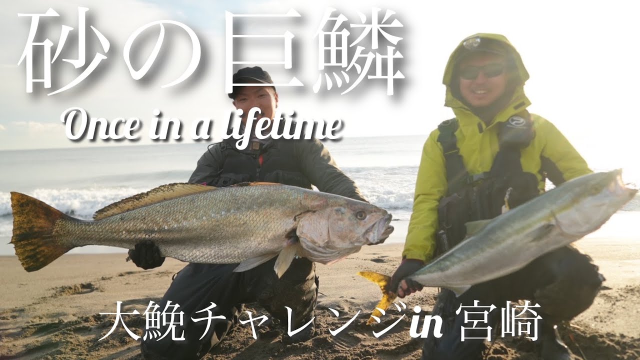 【砂の巨鱗】怪魚オオニベを追う in 宮崎サーフ　that fish once in a life time