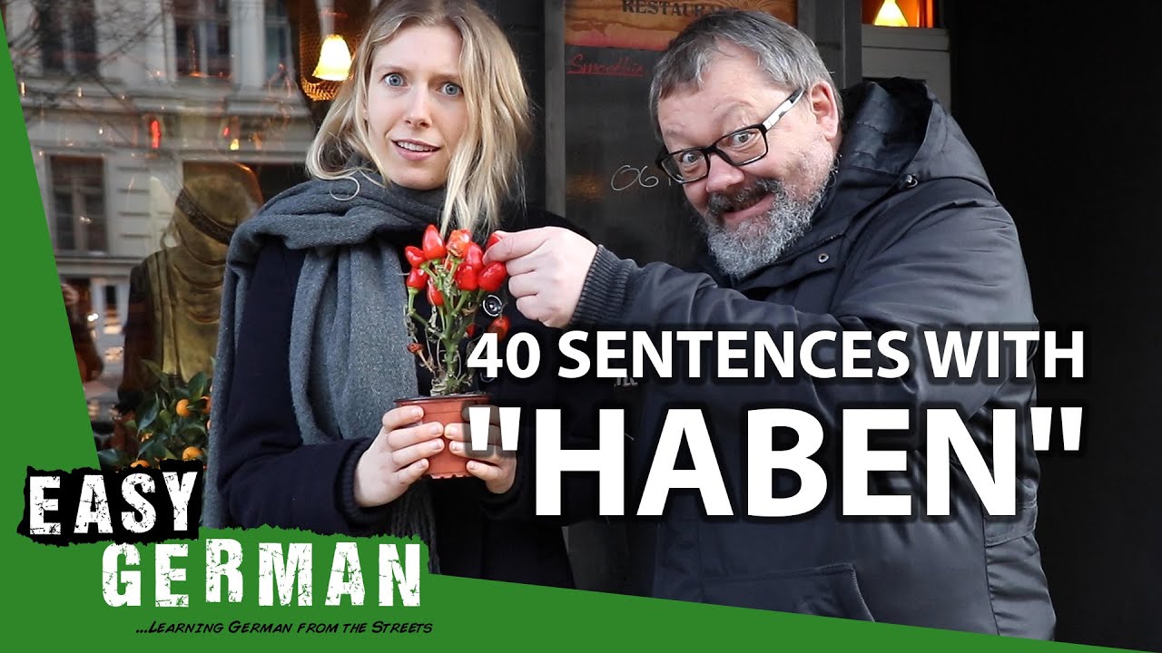 German Verbs: Haben | Super Easy German (131)