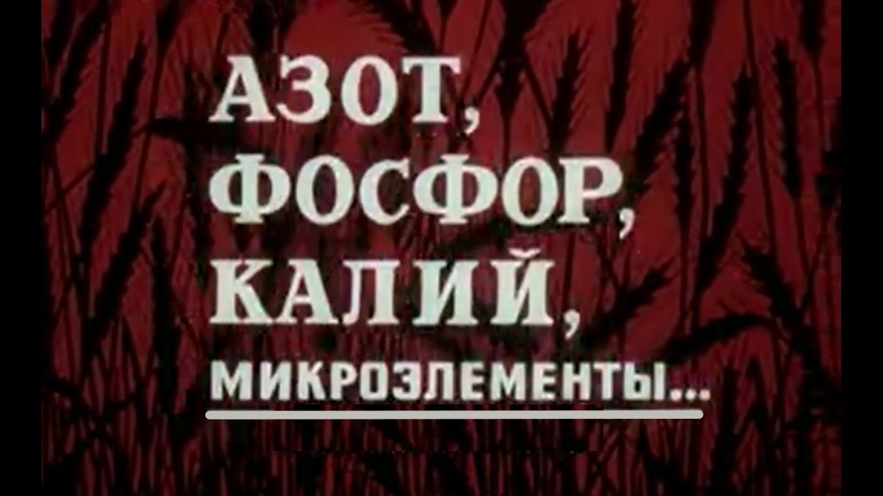 Азот, фосфор, калий, микроэлементы и минеральные удобрения
