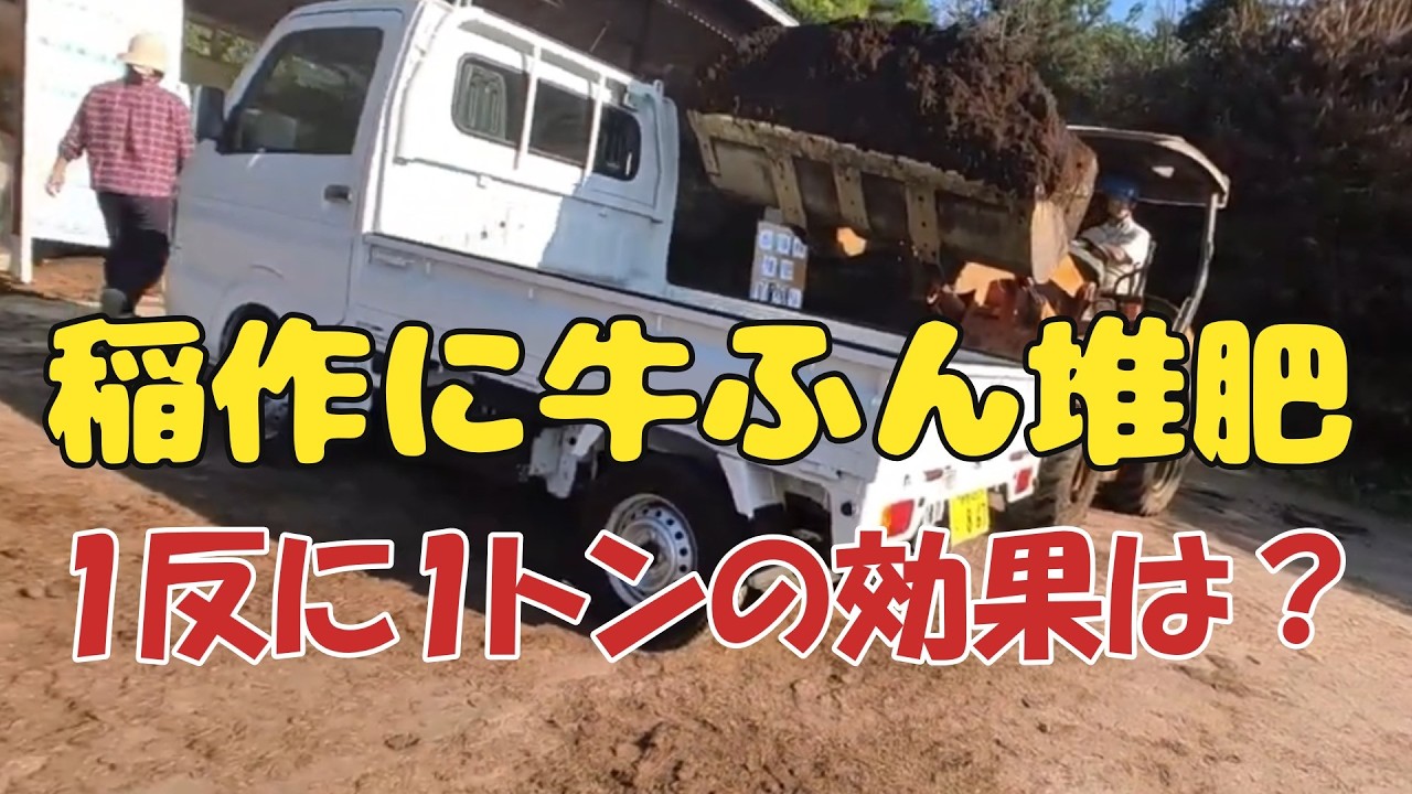 【有機肥料でつくった米は美味しいのか？】