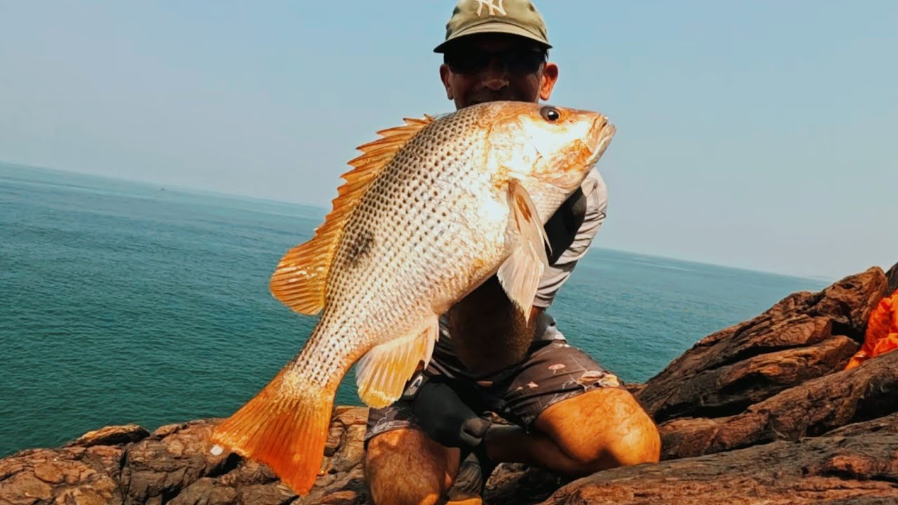 Fishing for my food from a cliff in south Asia and we GOT Dinner!