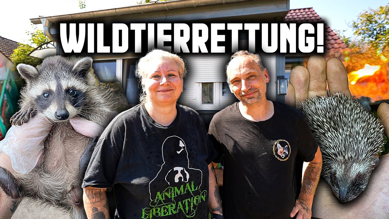 JEDES LEBEN ZÄHLT! WIE DIE WILDTIERRETTUNG ALLES FÜR DIE TIERE GIBT!