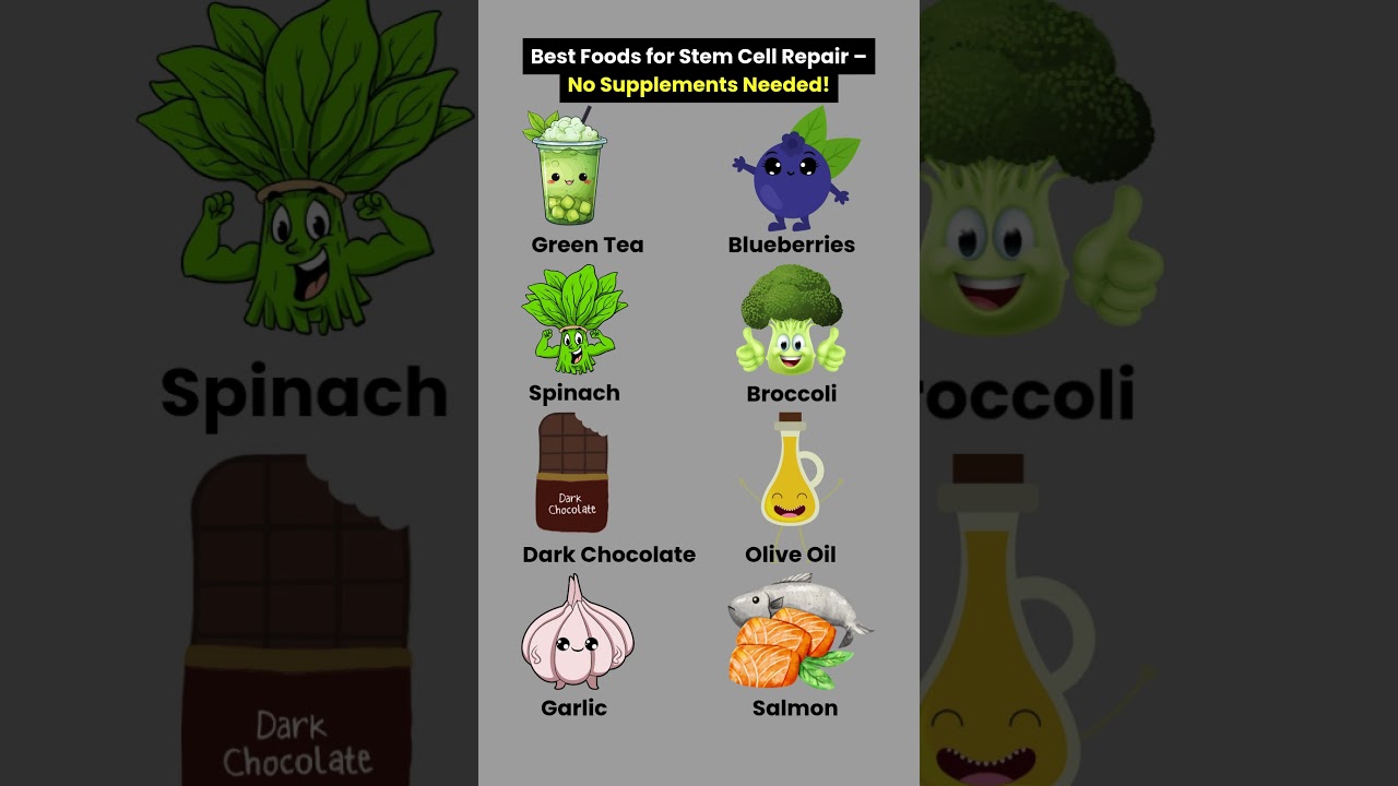 Best Foods for Stem Cell Repair &ndash; No Supplements Needed!