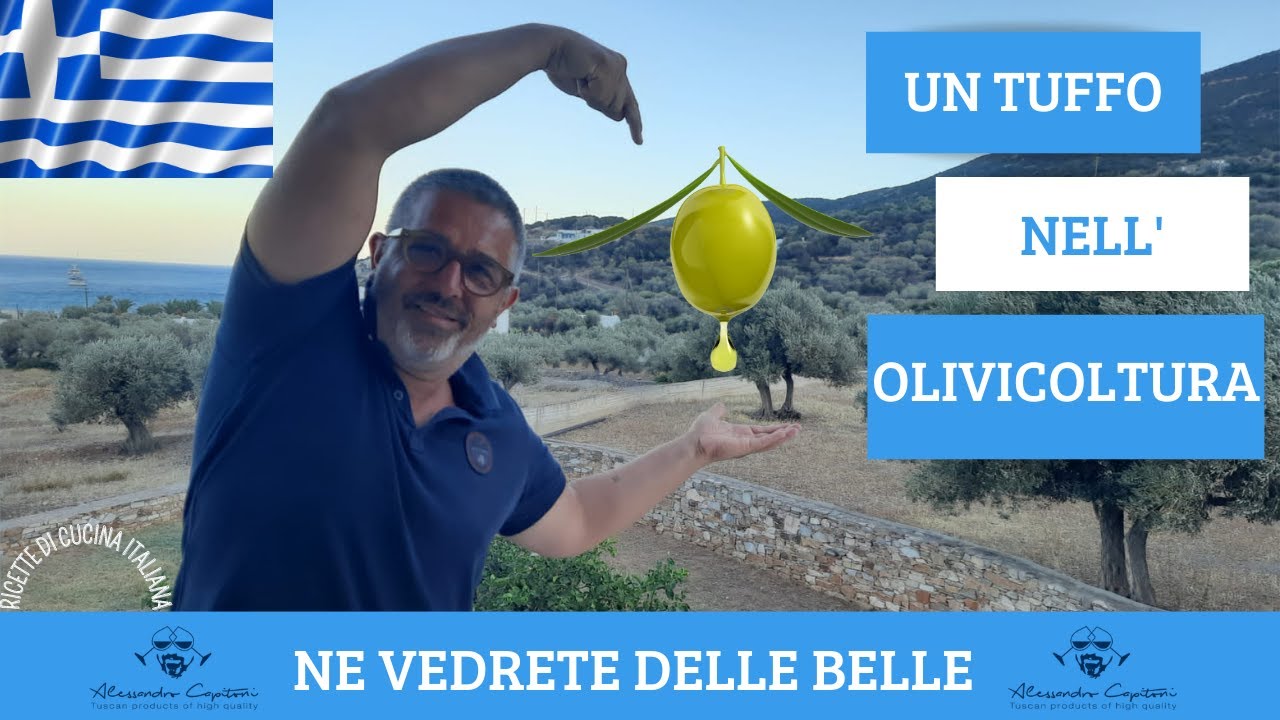 ALLA SCOPERTA DELL' OLIVICOLTURA GRECA