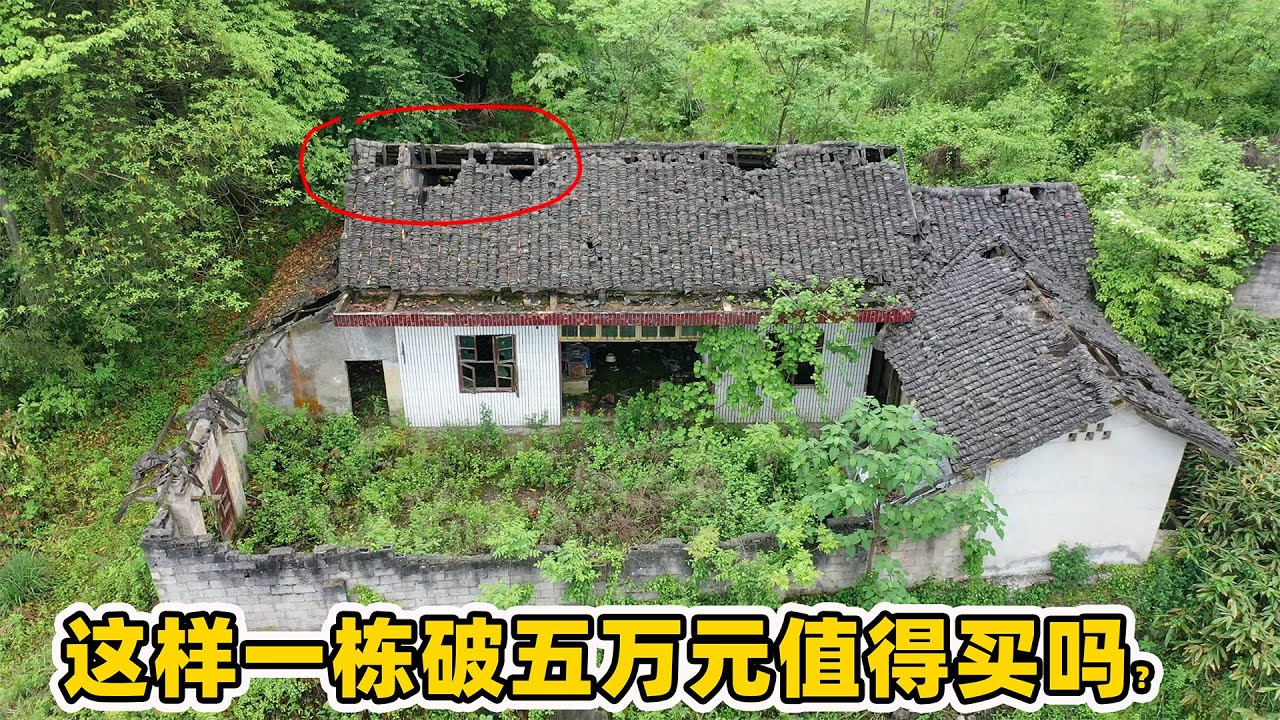 大山里发现一栋废弃三合院，五万元值得买下吗？