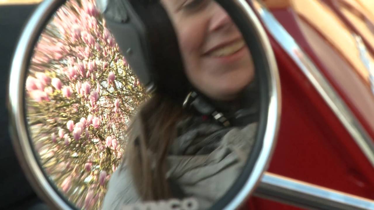 Riemst: een overzicht