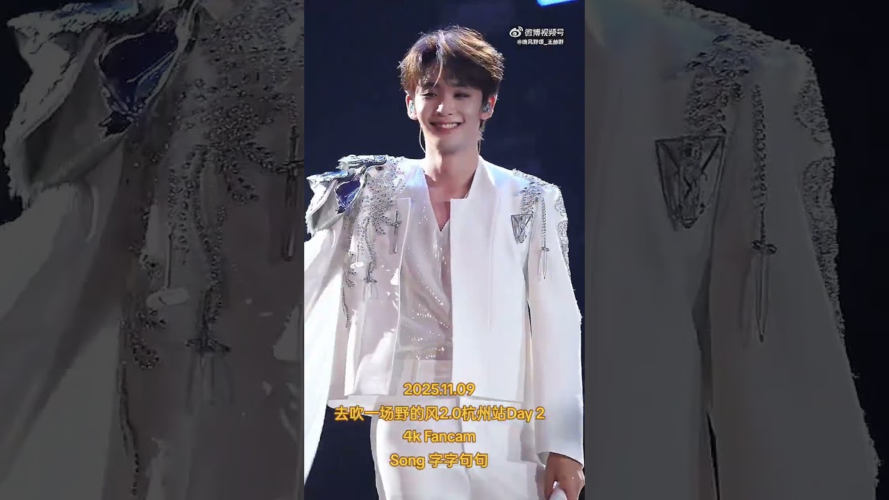 2025.11.09▶去吹一场野的风2.0杭州站Day 24k Fancam《字字句句》#王赫野 #Wangheye #หวังเฮ่อเย่