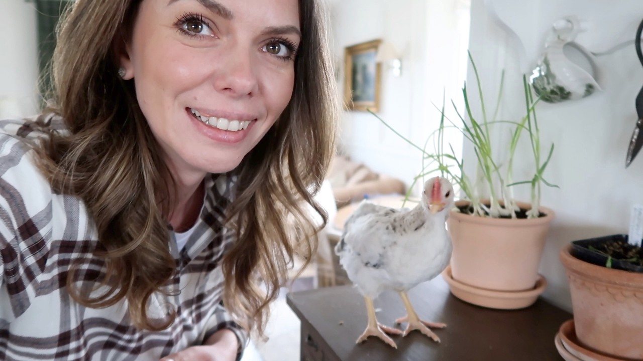 SPOTKANIE W OGRODACH ŚR&Oacute;DMIEŚCIE | HAUL OGRODNICZY I TYPUJEMY IMIE DLA KURKI | VLOG | BEATA M