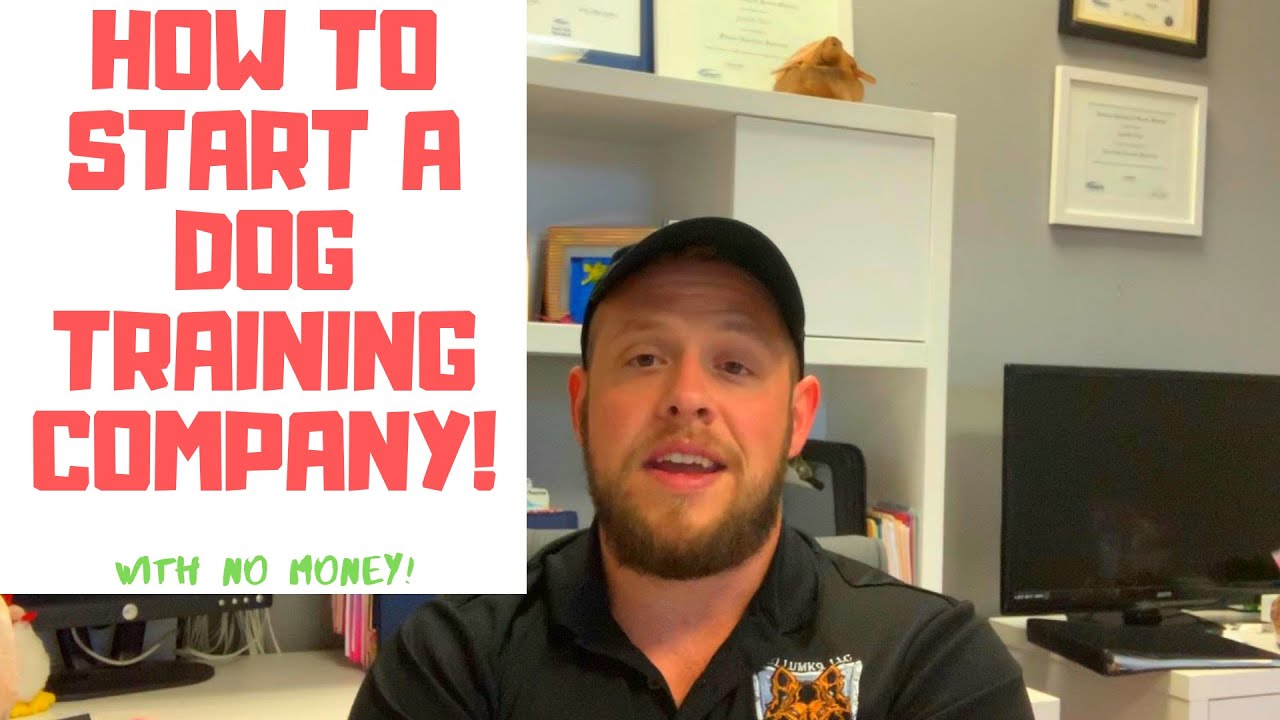 How to start a dog training company with NO MONEY!