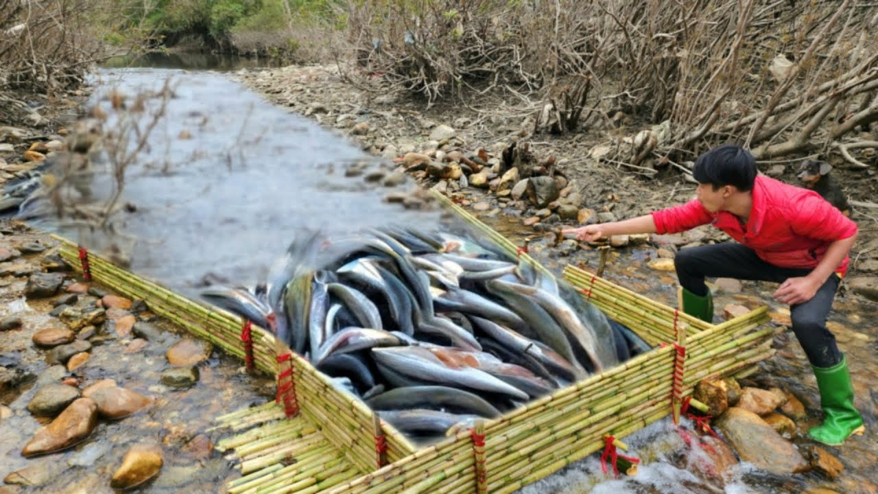 The way Lam boy traps fish from bamboo is extremely effective.
