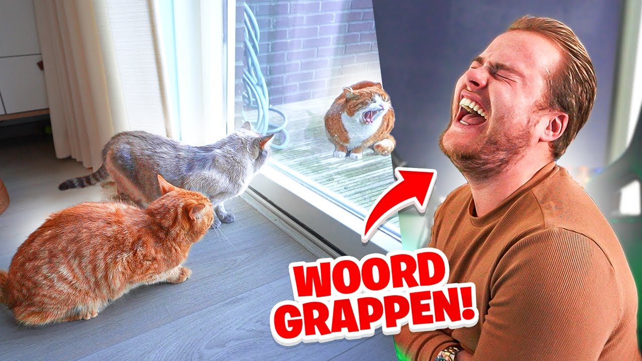 GENIALE WOORDGRAPPEN SESSIE & DEZE KATTEN ZIEN VOOR HET EERST EEN ANDERE KAT!