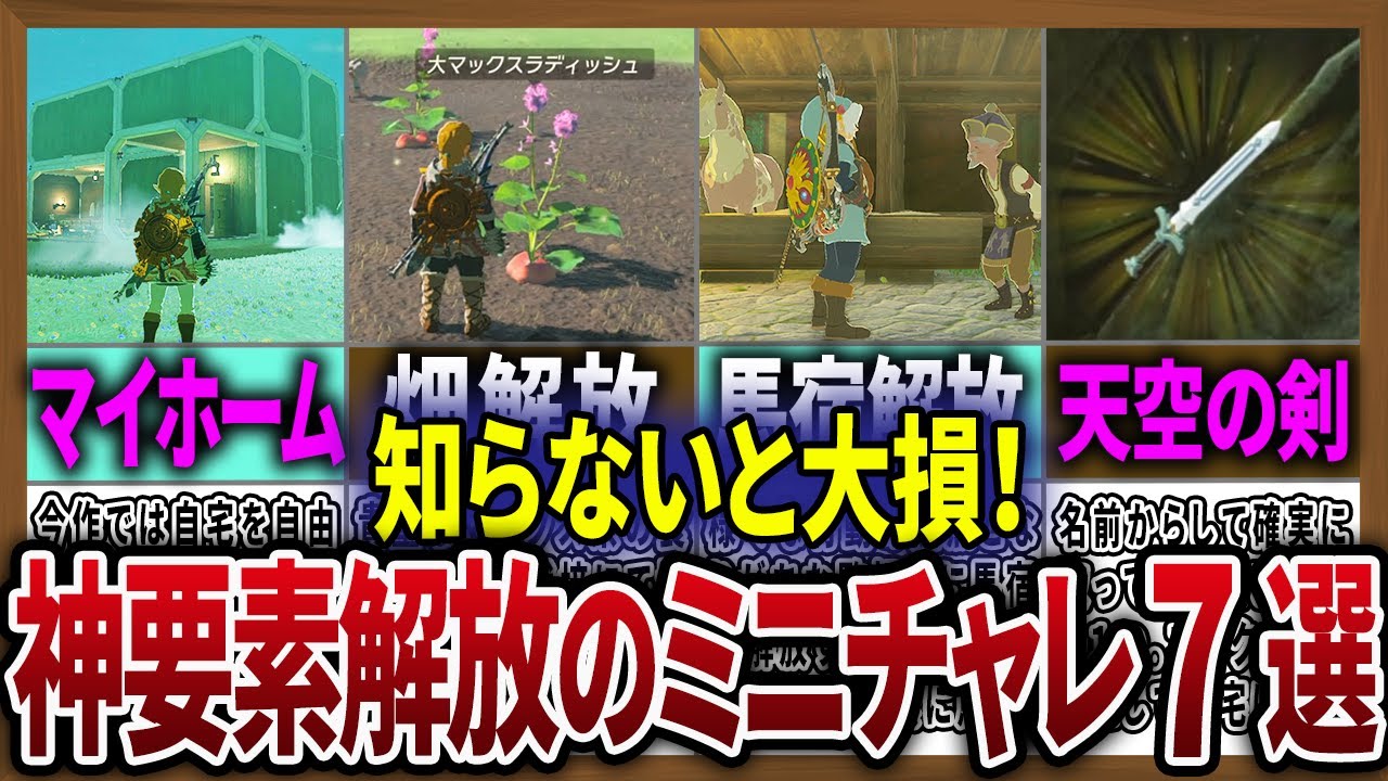 【知らないと損！】絶対にやっておくべきミニチャレンジ７選！【ゼルダの伝説ティアーズオブザキングダム】